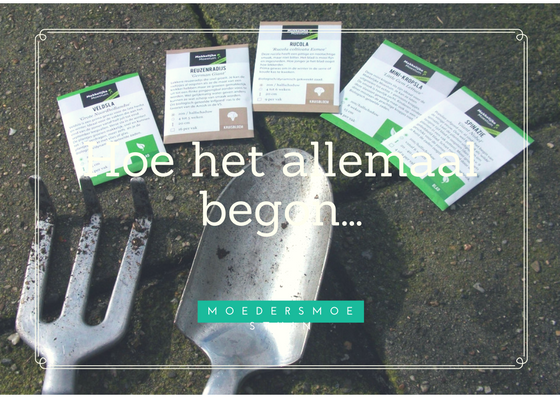 Moestuin hoe het begon