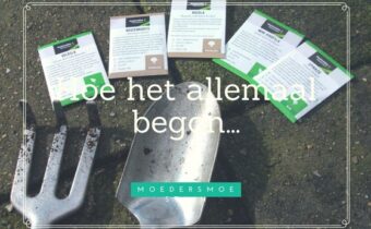 Project moestuin hoe het allemaal begon
