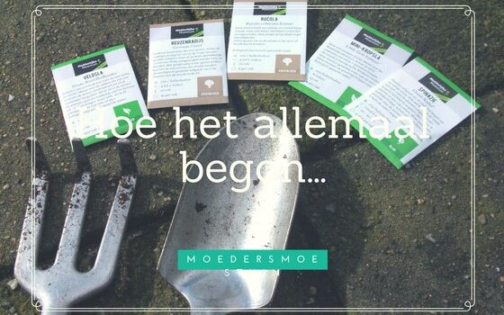 Project moestuin hoe het allemaal begon