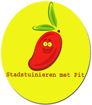 logo defintief
