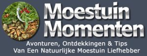 moestuin momenten