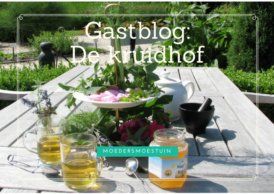 Gastblog de Kruidhof Buitenpost
