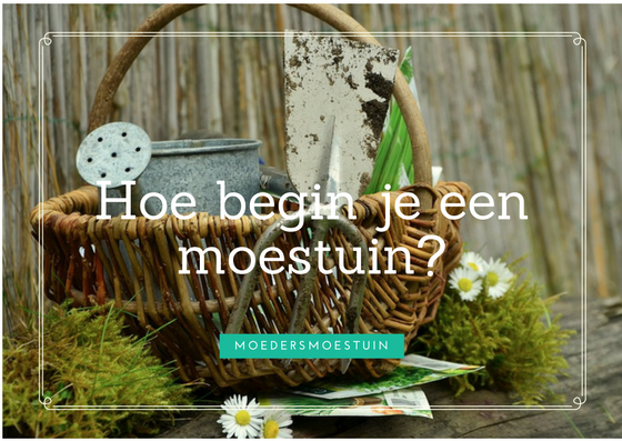 moestuin beginnen