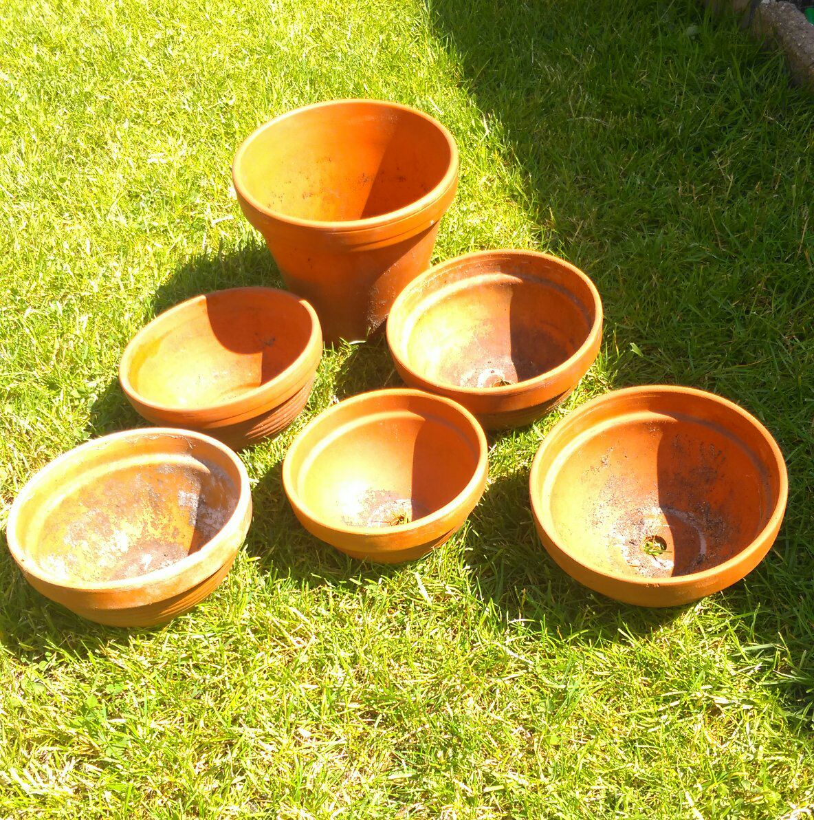 bloempotten