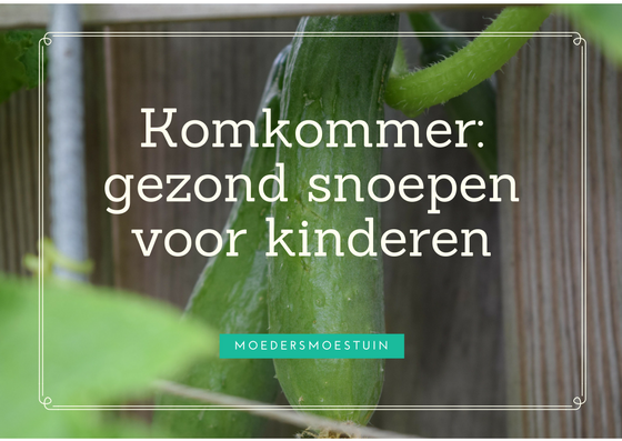 Komkommer gezond snoepen voor kinderen