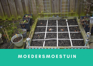 moestuin planning