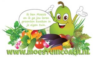 Moesie moestuin beginnen