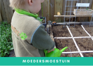 Moestuinieren met kinderen in de moestuin