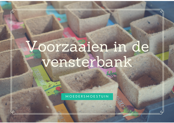 voorzaaien in de vensterbank