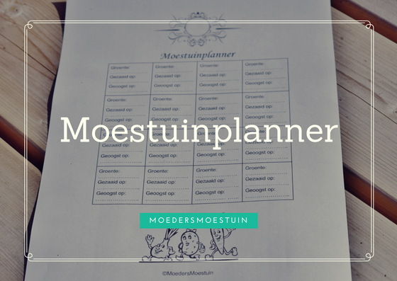 moestuinplanner planning moestuin