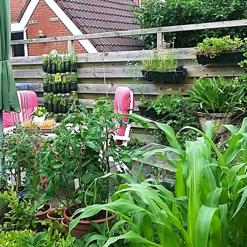 Tuin zomer van 2016