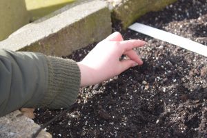 moestuinieren met je kinderen