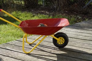 kruiwagen kind