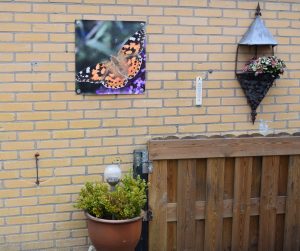 canvasdoek met vlinder tuinfotografie
