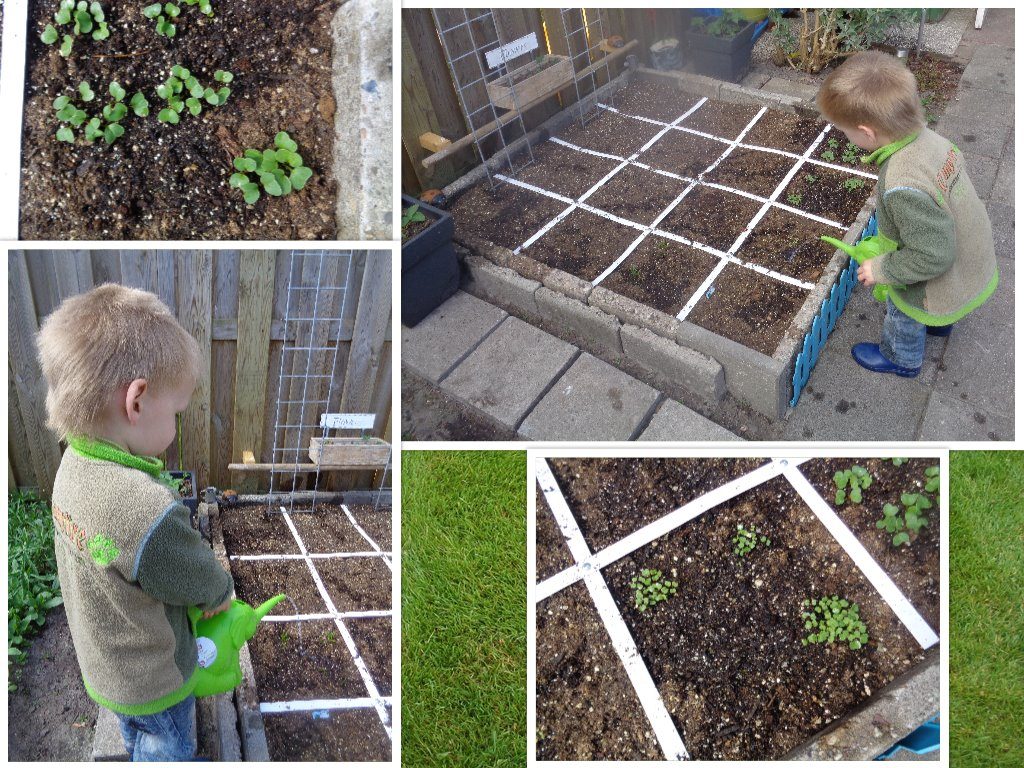 Makkelijke moestuin met kinderen