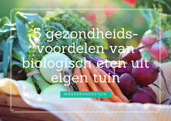 biologisch eten uit eigen tuin