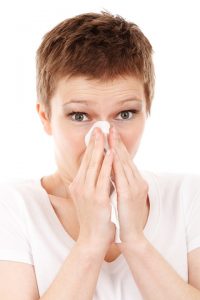 allergie hooikoorts hooikoortsklachten