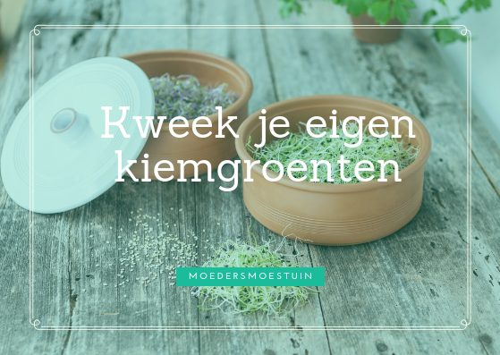 Kweek jeeigen kiemgroenten