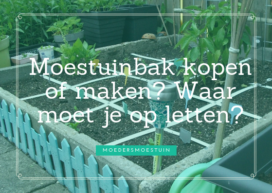 Moestuinbak kopen of maken