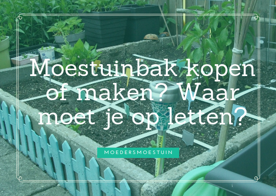 Krimpen vrek verzonden Moestuinbak kopen? Het advies waar je op dient te letten bij de aanschaf.