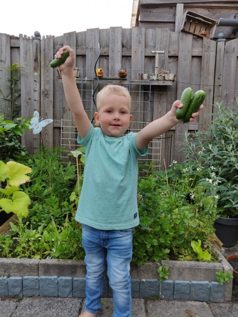 Start nieuwe moestuinseizoen oogst