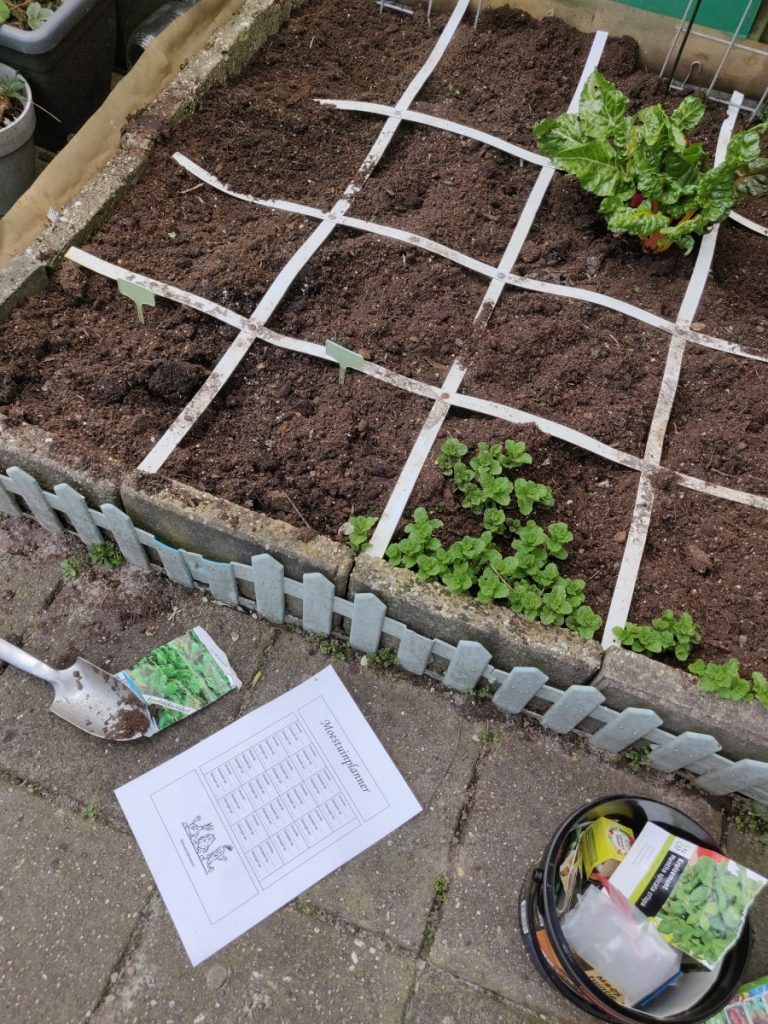 start nieuwe moestuinseizoen