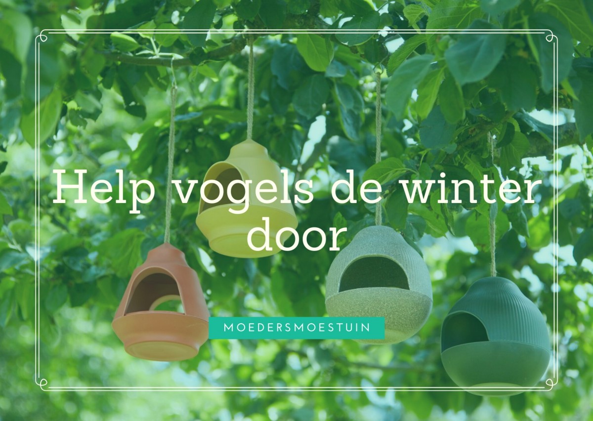 help vogels de winter door