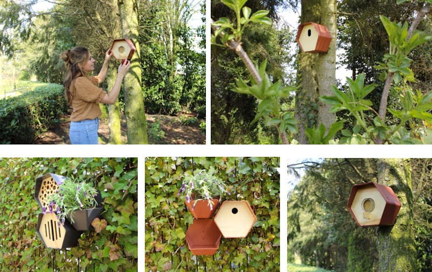 Maak ruimte voor insecten in de tuin
