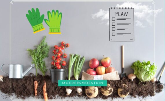 Een moestuinplanning maken