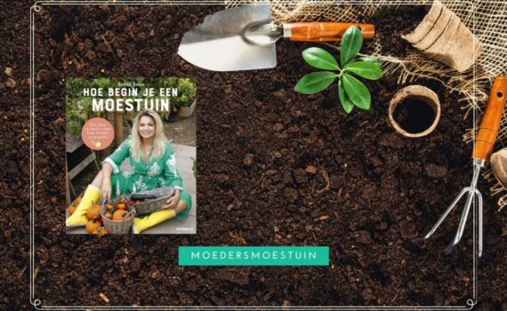 Hoe begin je een moestuin?
