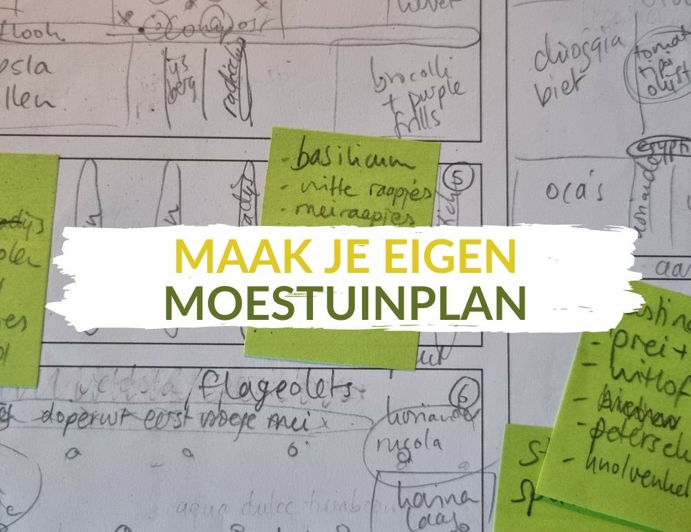 Moestuinplanning maken