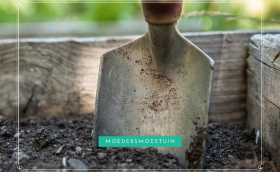 Zelf beginnen makkelijke moestuin