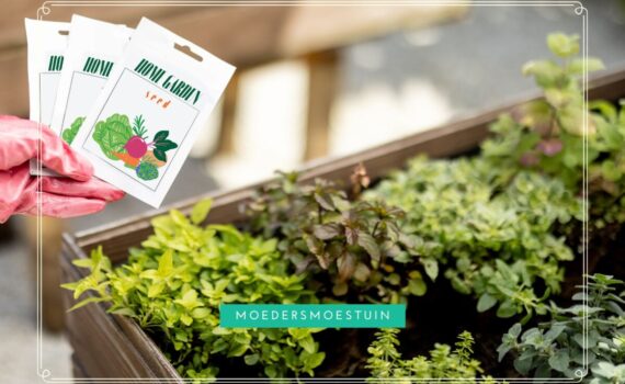De moestuinbak vullen