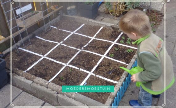 Hoe begin je een moestuin met kinderen