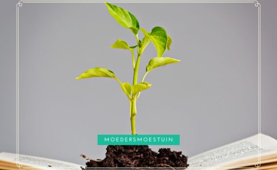 Makkelijke moestuin boek 2.0
