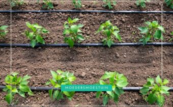Irrigatiesystemen moestuin