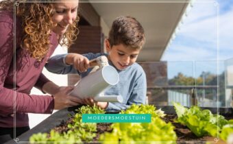 water geven moestuin in de zomer