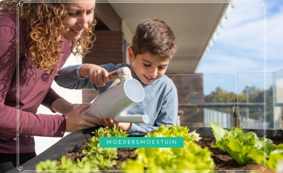 water geven moestuin in de zomer