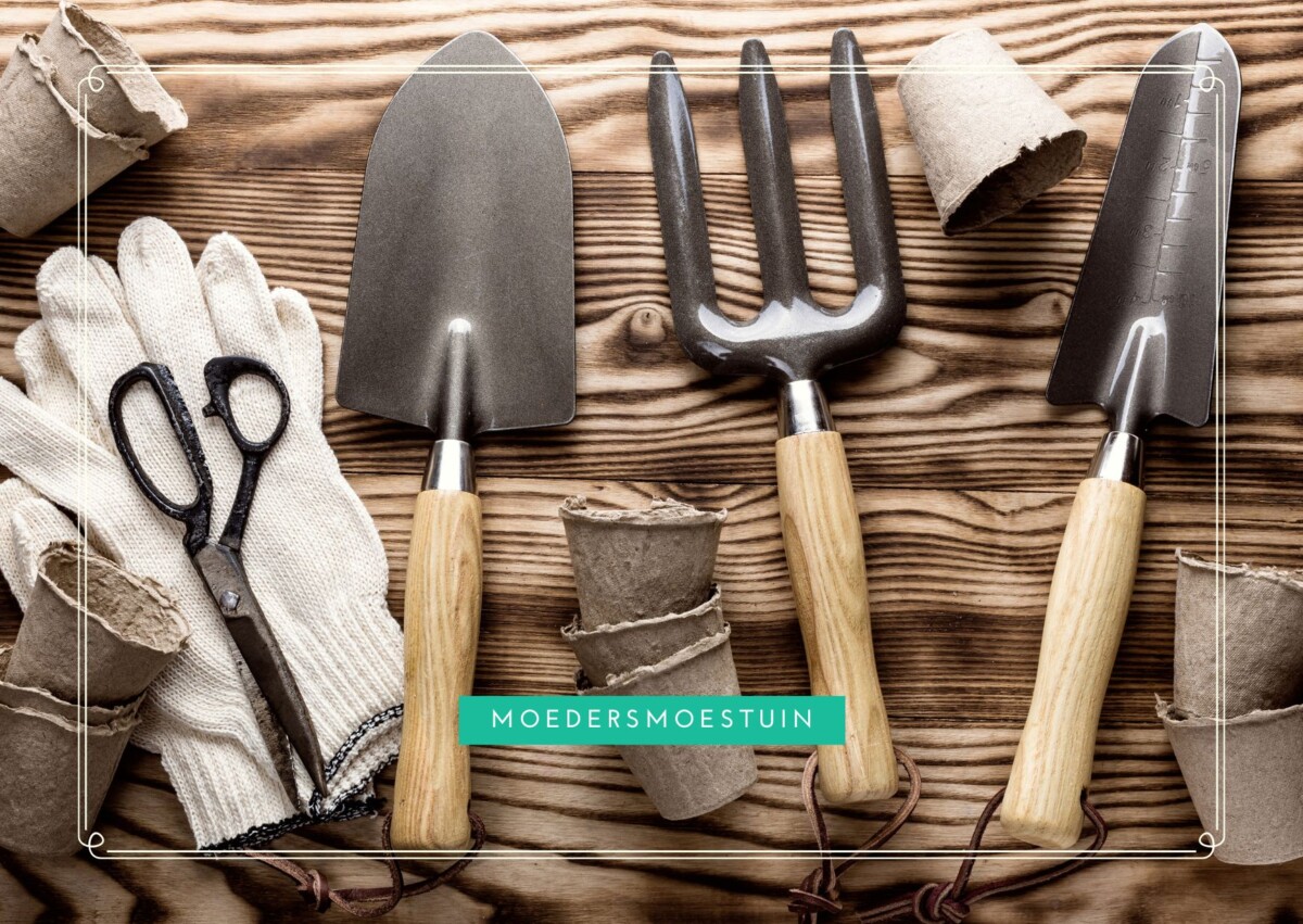 Wanneer beginnen met een moestuin? Ontdek de beste starttijd! - Moeders