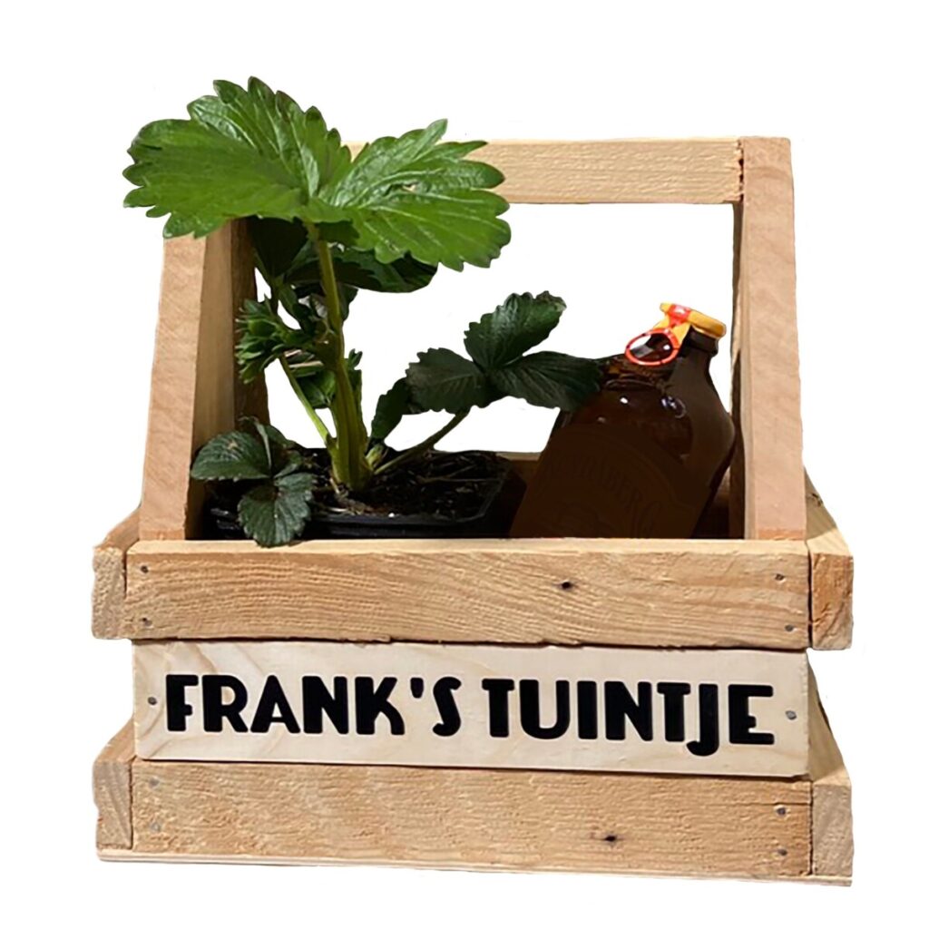 Haal de lente in huis