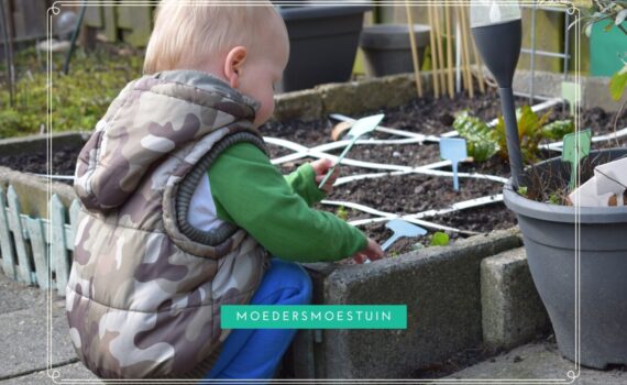Moestuin maken met kinderen