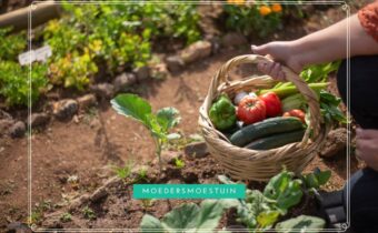 Moestuin zomer