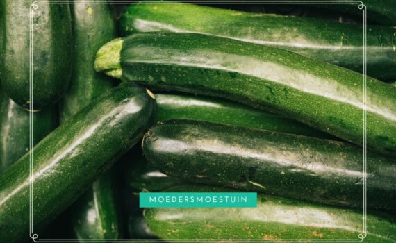 Overschot courgettes
