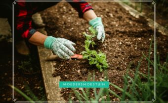Wat kun je nog zaaien in oktober en november
