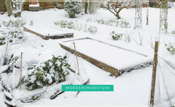Lege moestuinbakken winter