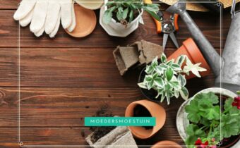 Terugblik moestuinjaar