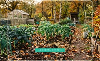 Moestuin in de herfst